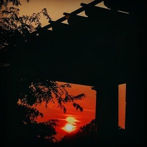 Meet your Posher, June